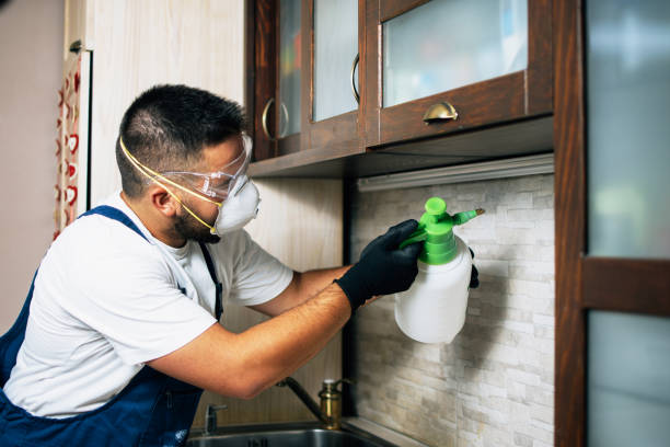 Best Flea Control Services  in North Madison, OH