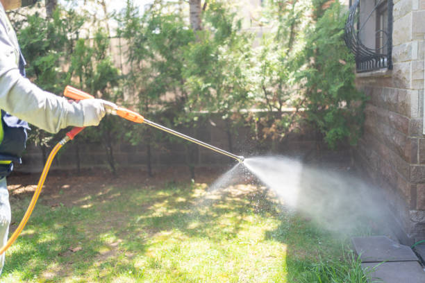 Best Ant Control Services  in North Madison, OH