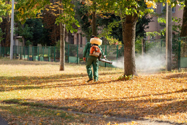 Best Spider Control Near Me  in North Madison, OH
