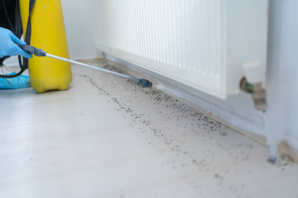 Best Emergency Pest Control  in North Madison, OH