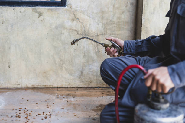 Reliable North Madison, OH Pest Control Solutions