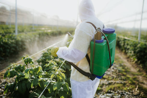 Best Bed Bug Extermination  in North Madison, OH